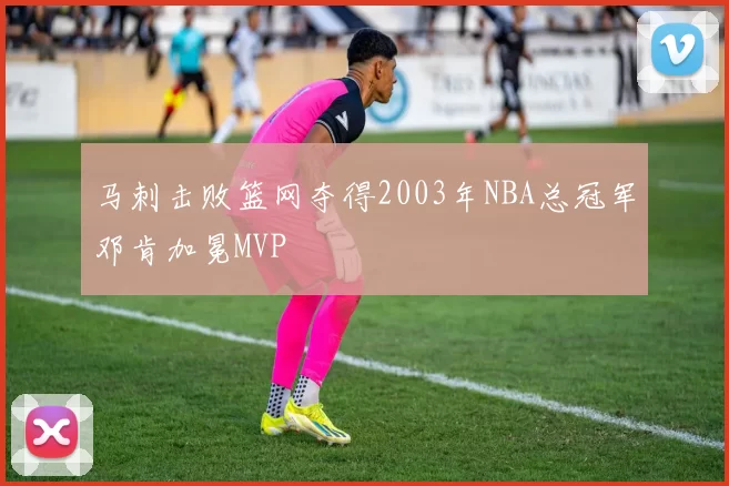马刺击败篮网夺得2003年NBA总冠军邓肯加冕MVP