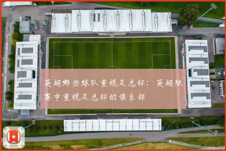 英超哪些球队重视足总杯：英超联赛中重视足总杯的俱乐部