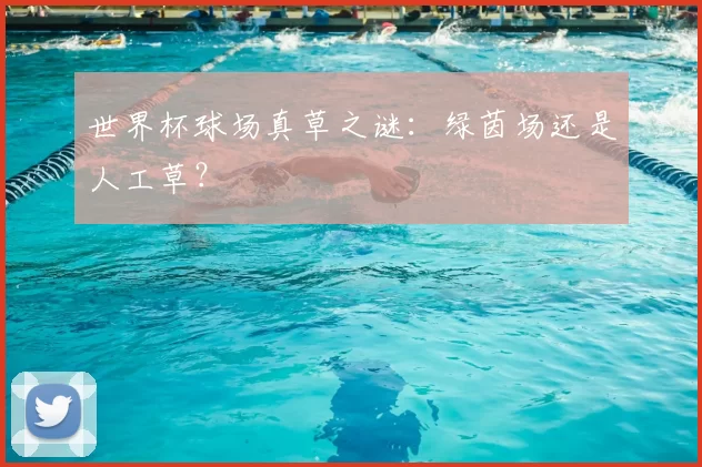 世界杯球场真草之谜：绿茵场还是人工草？