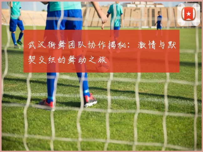武汉街舞团队协作揭秘：激情与默契交织的舞动之旅