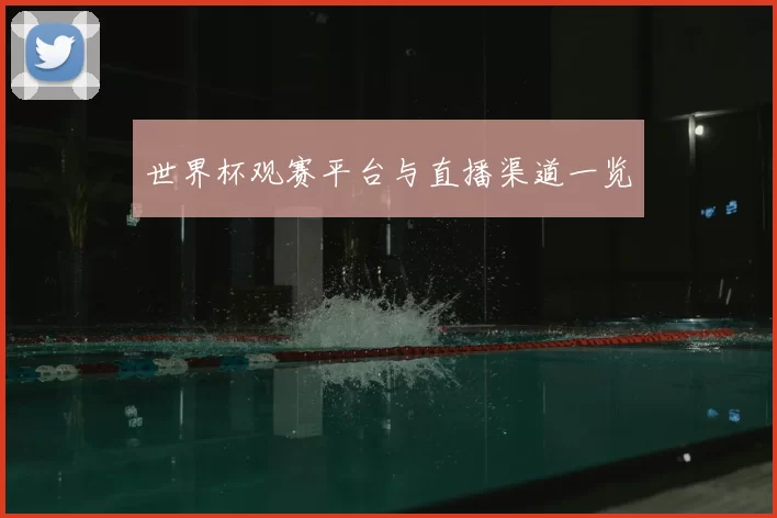 世界杯观赛平台与直播渠道一览
