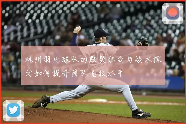 杭州羽毛球队的默契配合与战术探讨如何提升团队竞技水平