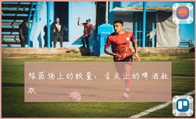 绿茵场上的较量,舌尖上的啤酒狂欢