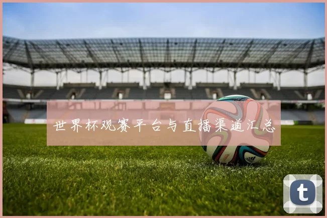 世界杯观赛平台与直播渠道汇总