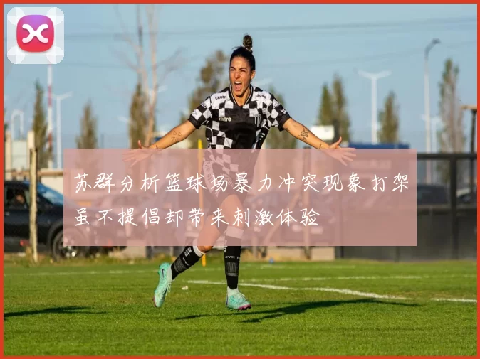 苏群分析篮球场暴力冲突现象打架虽不提倡却带来刺激体验