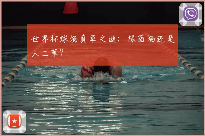 世界杯球场真草之谜：绿茵场还是人工草？