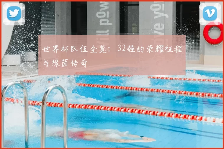 世界杯队伍全览：32强的荣耀征程与绿茵传奇