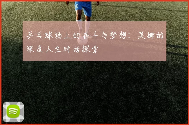 乒乓球场上的奋斗与梦想：吴娜的深度人生对话探索