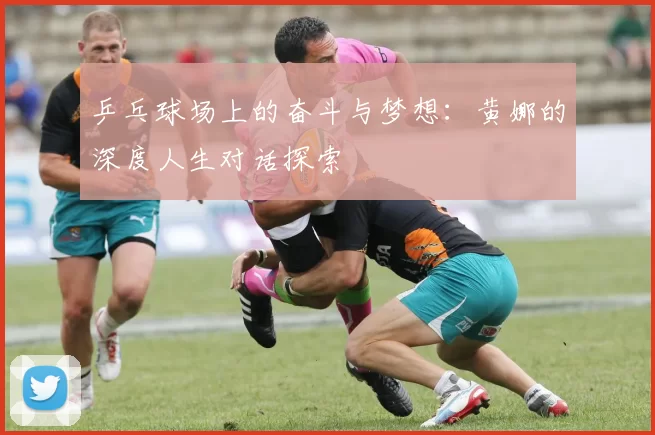 乒乓球场上的奋斗与梦想：黄娜的深度人生对话探索