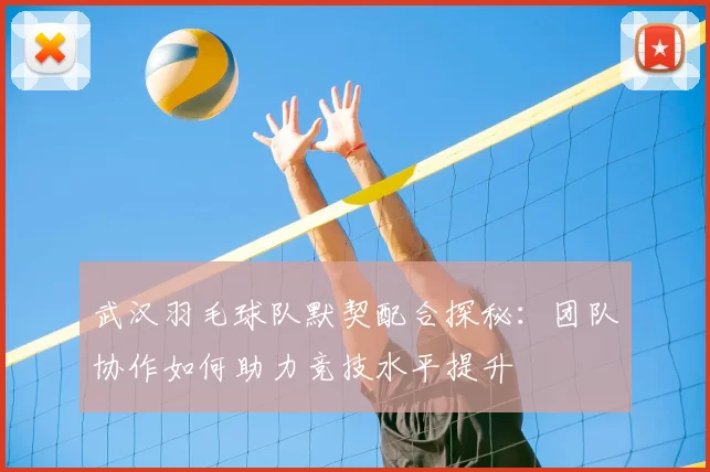 武汉羽毛球队默契配合探秘:团队协作如何助力竞技水平提升
